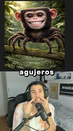 Chimpanzini Spiderini vs Sammy