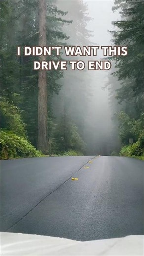 A Drive So Peaceful, You Forget the World Exists