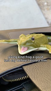5.9K views · 111 reactions | don’t worry! unlike a real frog, kind frog isn’t alive and doesn’t feel pain — so he doesn’t mind being dissected  spare real frogs this semester by dissecting kind frog instead. check out the link in our bio to learn more   | peta2 | Facebook