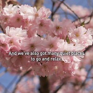 This is what studying at Loughborough looks like: 🌟 5-star employability rating 🌿 Stunning green campus 👭🏻 The chance to make lifelong friends 🗓️ Application deadline: 29 January 2025 | Loughborough University