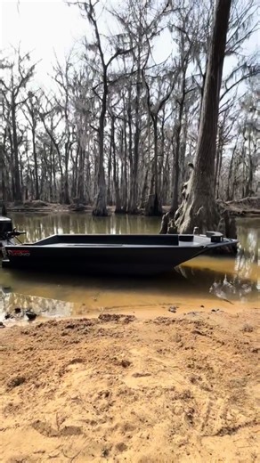 Enjoy Fast Boats and Stunning Views at Reaper Boats