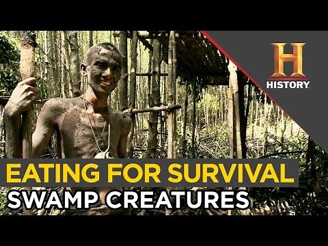 Surviving the Swamp: Eating Lizard, Monkey and Snail | Special Forces