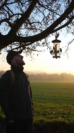 3-in-1 hanging bird feeder: holds seeds, nuts, fat balls – perfect for attracting garden birds! 🐦#tiktokshop