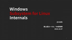 Windows Subsystem for Linux Internals