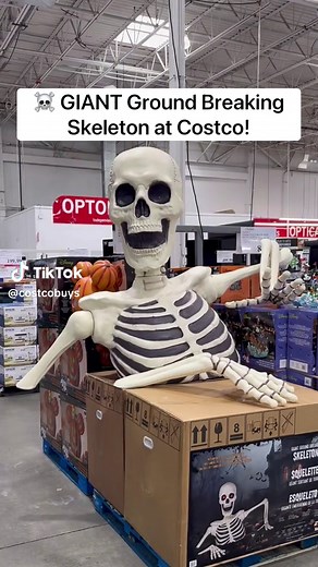 Ground Breaking Skeleton Halloween Decoration with LED Lights and Sound | Giant Size!