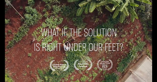 45K views · 543 reactions | What if the solution to healing our...