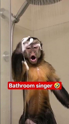 I AM TAKING SHOWER AND SINGING OPERA 😂 #monkey #opera #singing #shorts #trending #fyp #viral #sing