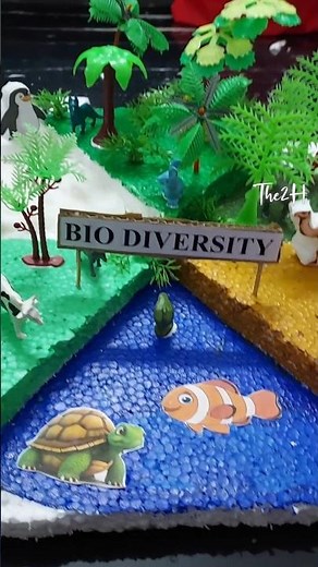 Bio Diversity Project | School Project | Biodiversity Model Project | Ecosystem Model