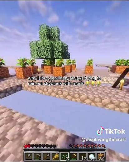 Minecraft Skyblock Mods: Why He Keeps Ruining Our Skyblock