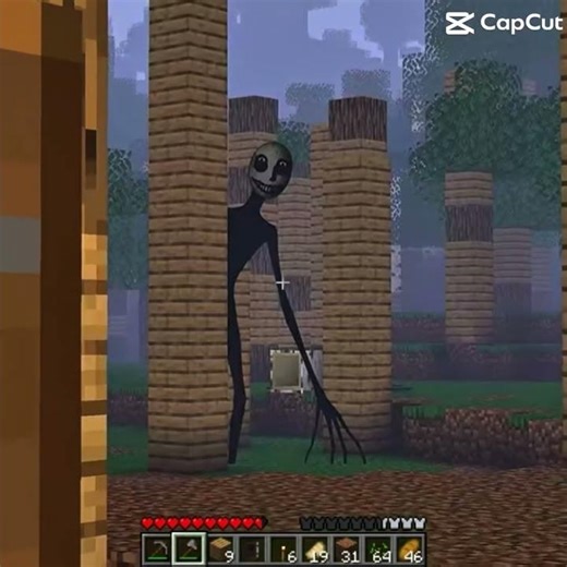 Just a normal minecraft mod