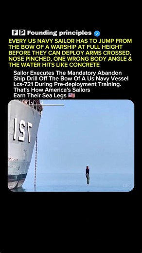 That Sailor Jumped Off a Navy Ship 🌊#soldier #USA #USNavy #USArmy