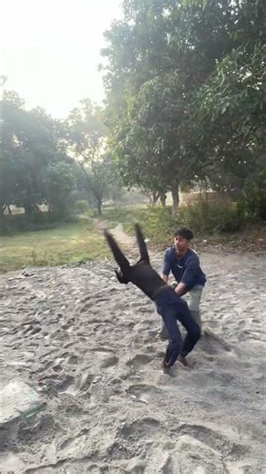 6 backhand spring #viralvideos #backflip #trending #backflip