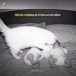 Cutest thing I've seen today! 🥹❤️ | Subtle Mood Posting