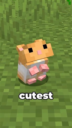 these HAMSTER pets are adorable!