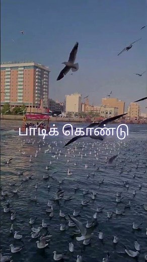 Christian Tamil Songs | Jesus Songs Tamil | worship songs #jesus #jesussongs #christiansongs #song
