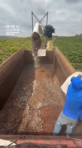 Work smarter, not harder! 🤯 | Supercar Blondie