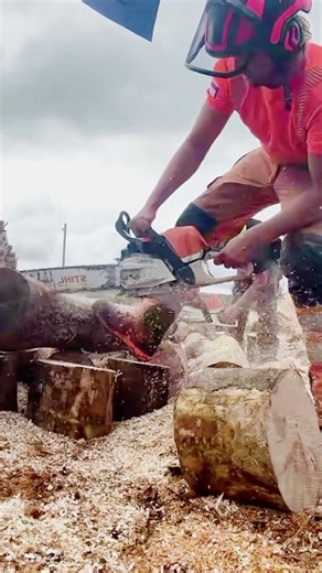 chainsaw stihl firewood process