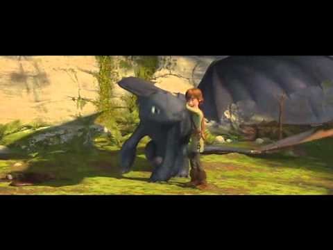 HTTYD - Hiccup and Toothless - Firework