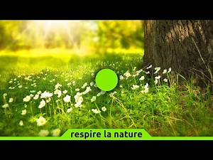 🟢 Cohérence cardiaque n°230 | Naturel | 5 min