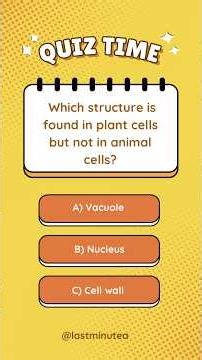 🔬 Grade 10 Life Sciences Quiz: Structure of the Cell