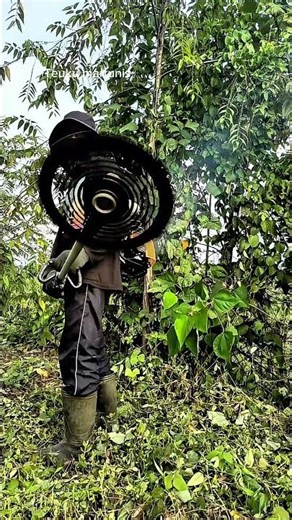 katanya mata bulat ngak boleh di hentak,apa pendapat mu ? #mesinrumput #petanimilenial