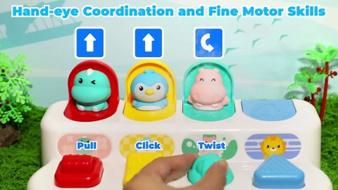 Montessori Cause and Effect Toy 6-12 Months, Baby Push Button Pop Up Animal Toy, Interactive Sensory Toys for Toddlers 1 2 3, Developmental Educational Toy for Boys Girls 9 10 11 Months