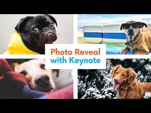 How to Animate with Keynote: Photo Reveal
