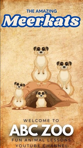 Meerkats for Kids: Discover the Secrets of These Playful Creatures! | ABC ZOO Fun Animal Lessons