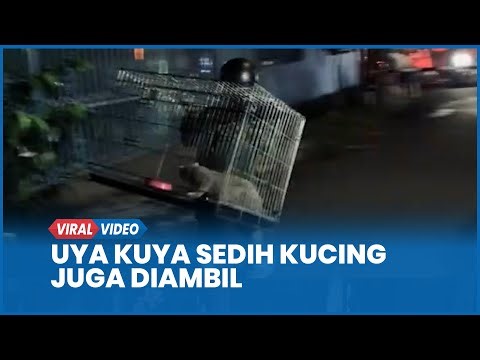 Uya Kuya Ikhlas Rumah Dijarah Massa Tapi Merasa Sedih Kucing Juga Diambil