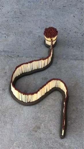 Very Easy Made Soft boiled eggs #experiment video