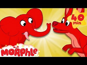 Learning Animals At The Zoo - My Magic Pet Morphle | Cartoons For Kids | Morphle TV | Kids Videos