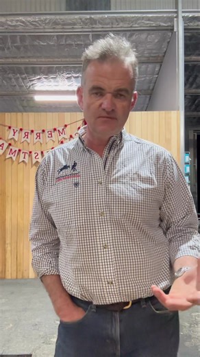 🎥 Watch Now: Laminitis Webinar Series Coming Soon! 🐴 Laminitis is one of the most painful and serious conditions we see in horses – but early diagnosis and the right treatment can make all the difference. We’re excited to launch a two-part webinar series covering: ✅ Part 1: Diagnosing Laminitis – what to look for and when to act ✅ Part 2: Treatment & Management – giving your horse the best chance at recovery 💬 We want to hear from you! Would you prefer to join us in the middle of the day or i