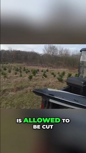 Farming Techniques: Tagging Trees & Planting Methods #shorts