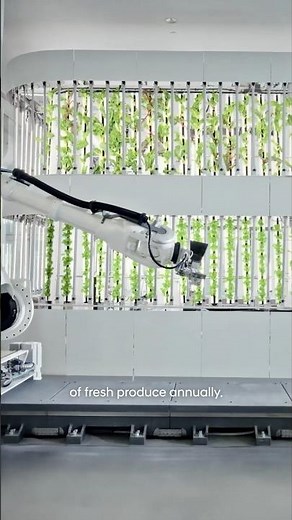 One-of-a-kind factory in Singapore | Hyundai x CNN