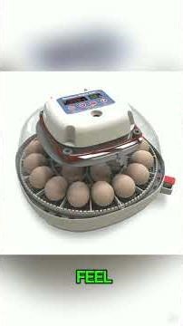 Harris Farms Nurture Right Egg Incubator, 22 Eggs, Auto Turner, Temp & Humidity Control
