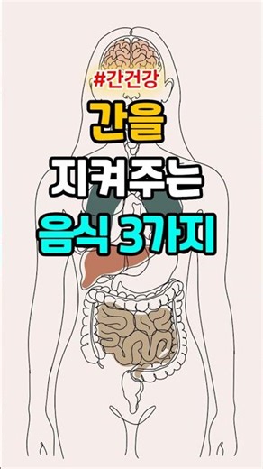 간에 좋은 음식 3가지 #간건강 #건강정보 #중장년건강 #시니어건강 #당뇨 #치매 #혈액순환