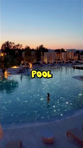 Imagine a Big Pool Party Today, Which Pool Do You Pick? 😍 #pool