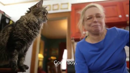 Woman With Hearing Loss Taught Her Deaf Cat Sign Language, Including The Word 'Dance'