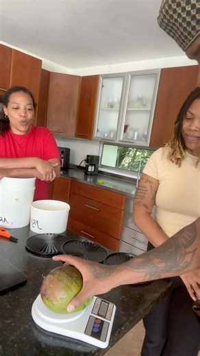 22K views · 550 reactions | This is the biggest mango 省 that I’ve ever seen! This land is truly fertile! | Kevin Wesley: Be The Evolution | Facebook