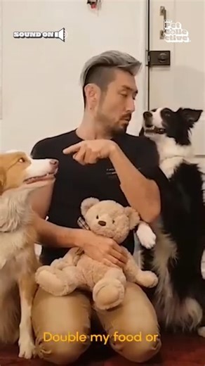 The Pet Collective on Reels