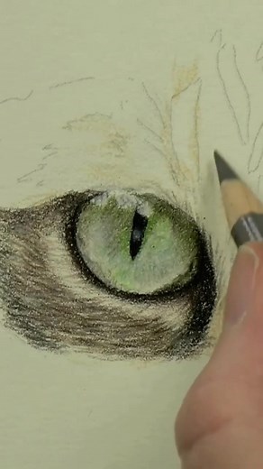 Blending and layering to create a realistic cat's eye 🐱 #drawingcats #catartwork #colouredpencildrawing #colouredpencilartists #bonnysnowdonacademy