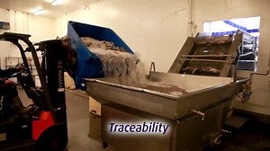 Greenland halibut from Royal Greenland