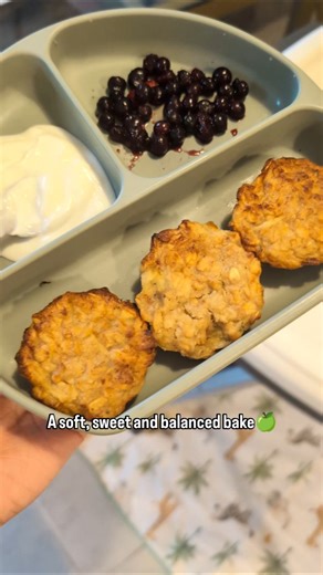 Banana Apple Oat Bake for Babies and Toddlers | No Sugar, Super Moist!