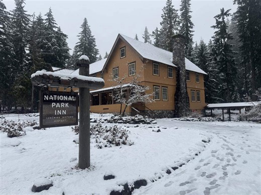 Mount Rainier National Park's best-kept secret is right in front of your eyes