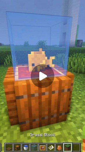 ArtiCraft on Instagram: "Realistic Fish Tank in Minecraft 🤩🐠🐟 // #minecraft #minecrafttips #minecrafttutorial #minecraftinspiration #minecraftmemeshacks #minecraftbuildingideas"