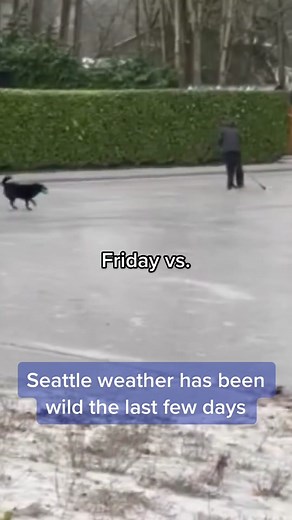 Seattle Weather: From Ice Rinks to Flooded Streets