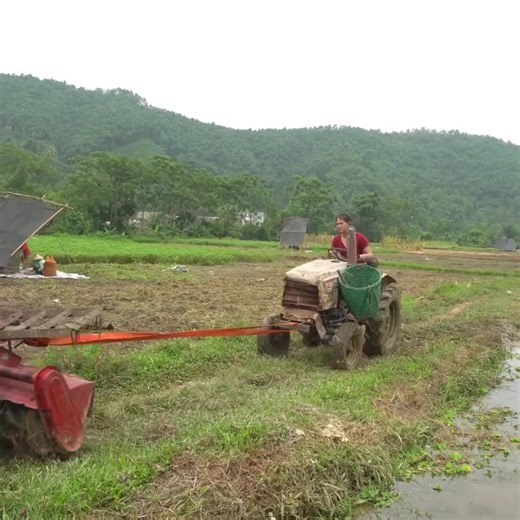 Girl repairs and restores old abandoned agricultural machinery | Cordle 1M