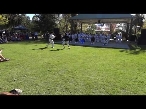 Sword vs Sai - Rare Demo in battle speed