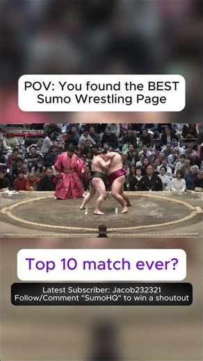POV: You subscribed to the best sumo wrestling page #sumo #wrestling #match #fyp #viral