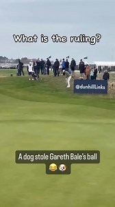 9.9K views · 32 reactions | Rule 9.6 | GOLF.AI | Facebook